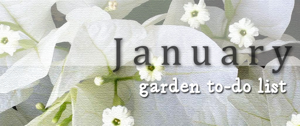 January Garden slider