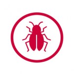 entomoktona9