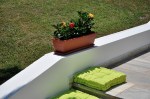 BALCONIERES_FESTONE4